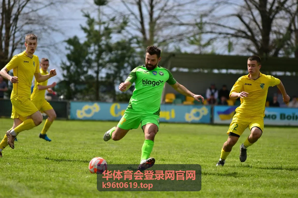 华体育会登录网官网登录入口与会员服务界面示意