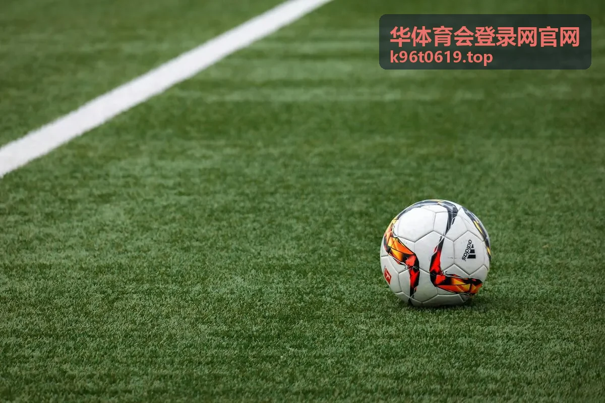 账号安全自查清单-华体育会登录网会员服务